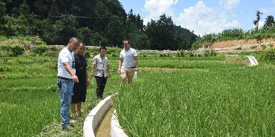 山西交口水利局采購(gòu)高標(biāo)準(zhǔn)農(nóng)田pe灌溉管裝車發(fā)貨了